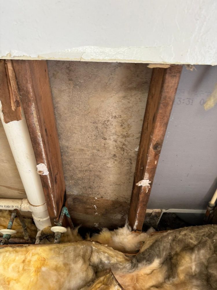 All Photos for N&D Restoration Services When Disaster Attacks, We Come In in Cape Coral,  FL