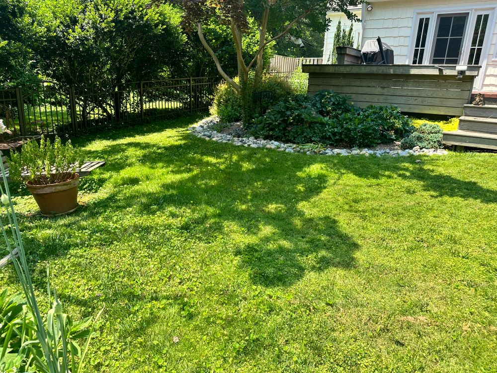 All Photos for Matteo Hardscapes in Towson,  MD