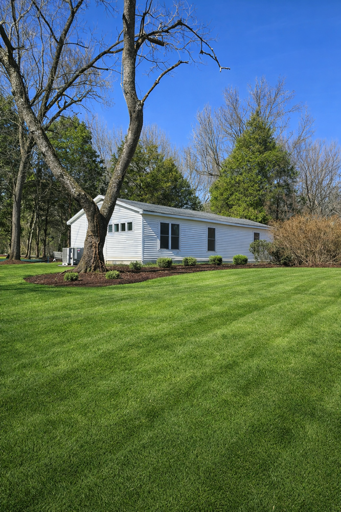 All Photos for Optimum Tree Service And Landscaping in Bowling Green, KY