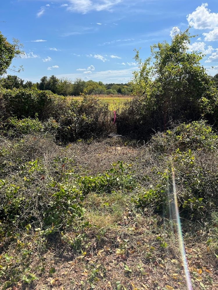 All Photos for Imber’s Tree Service LLC in Arlington, TX