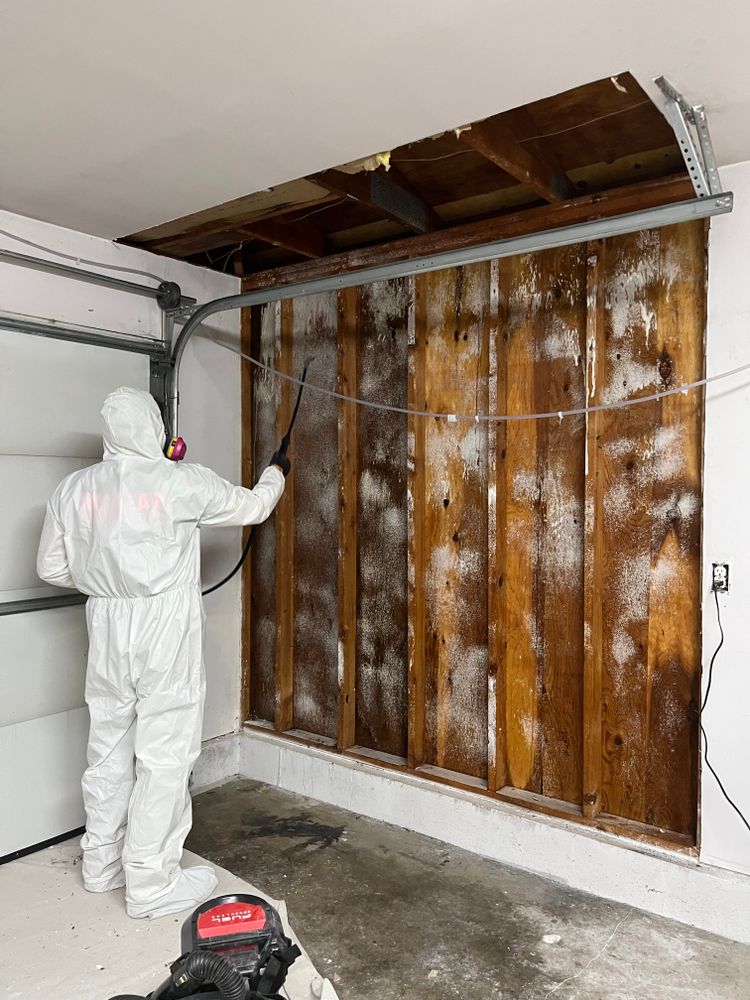 All Photos for No Fear Restoration in Port Angeles, WA