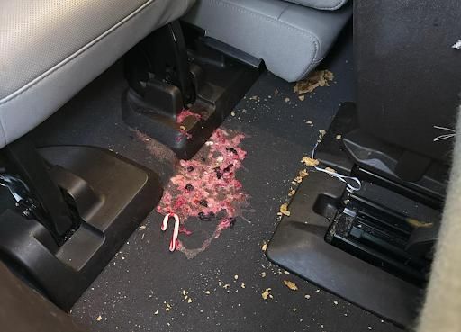 All Photos for Yuba City Mobile Car Detailing in Yuba City, CA