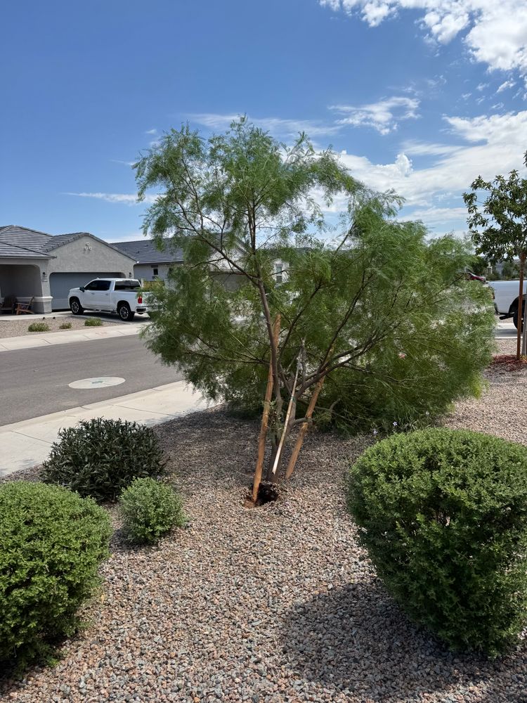 All Photos for Good Hands Landscape in Maricopa, AZ