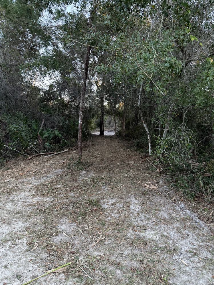 All Photos for Amerigrown Tree And Lawn in Apopka, FL