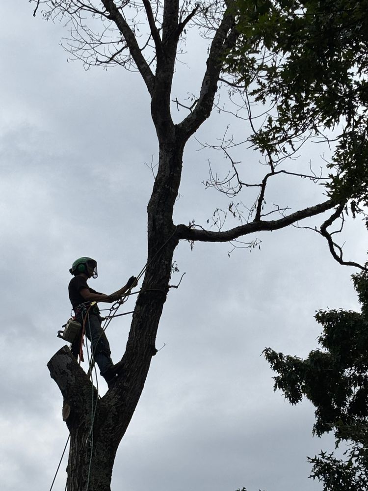 VA Landgrowth LLC team in Lexington, VA - people or person