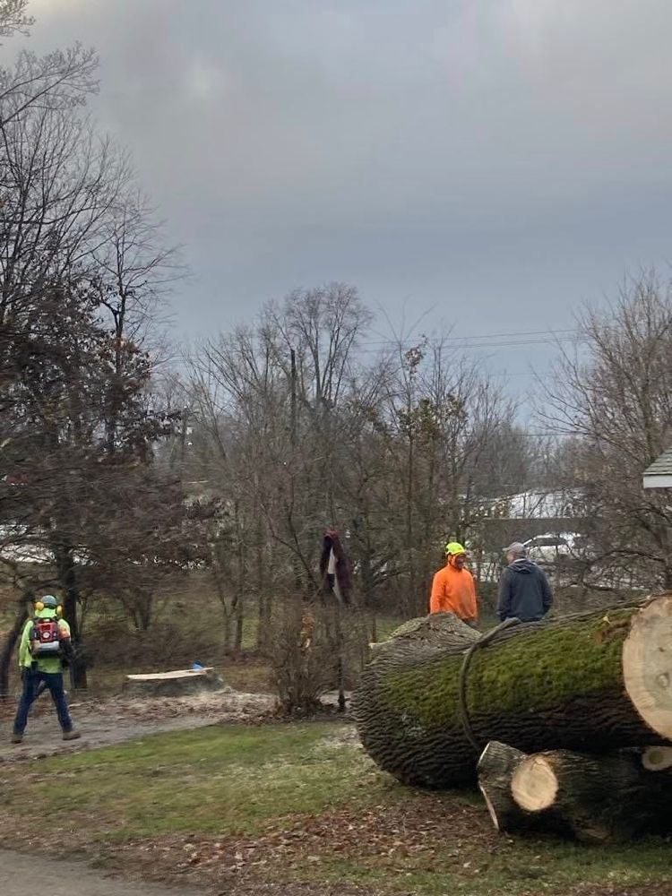 Our expert Tree Removal service ensures safe and efficient removal of unwanted or hazardous trees, enhancing your property's beauty and safety while minimizing disruption to your landscape. Contact us for a consultation. for Advanced Tree Solutions in Rockville, IN