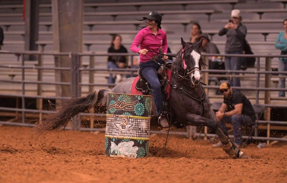 All Photos for Florida Native Equestrian Development in Central Florida, FL