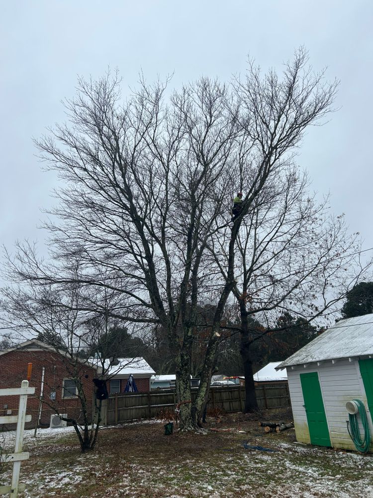 All Photos for The Whole 9 Yards Landscape VA in Heathsville, VA