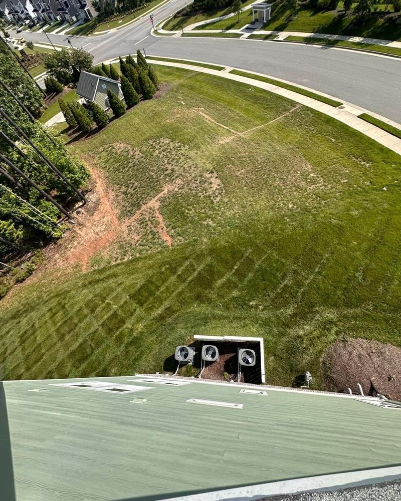 All Photos for LeafTide Solutions in Richmond, VA