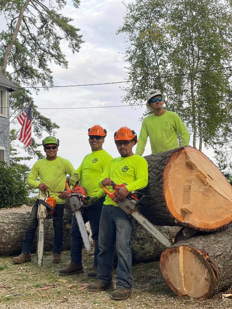 All Photos for Green In Green Out Tree Services in Westbrook, ME