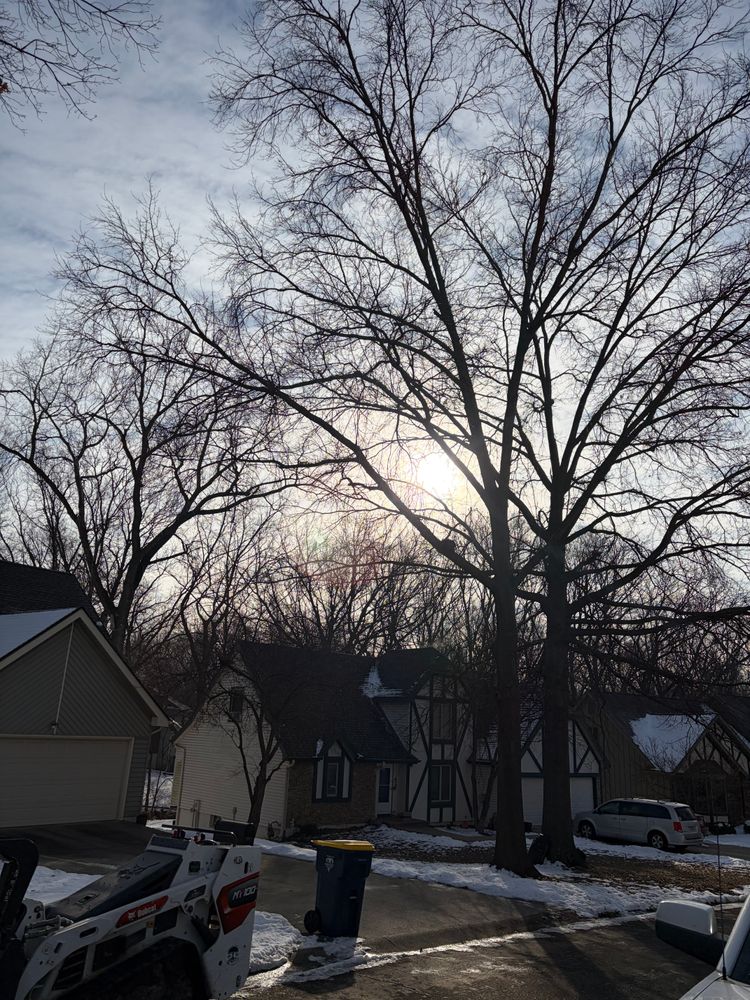 All Photos for Cross Family Tree Service in Kearney, MO