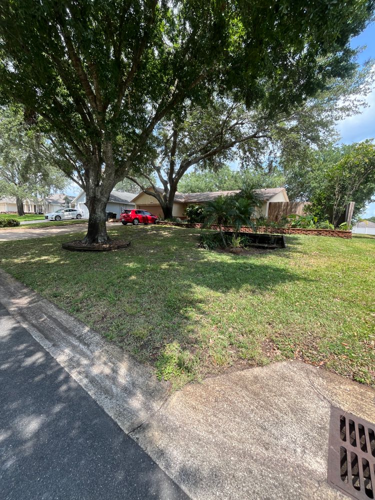 All Photos for Ludlows Services in Davenport, FL