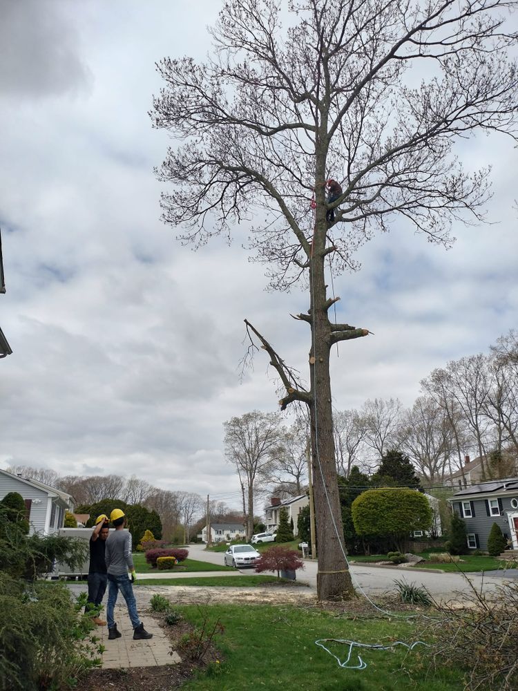 All Photos for CHACH Landscaping & Construction in Providence, RI