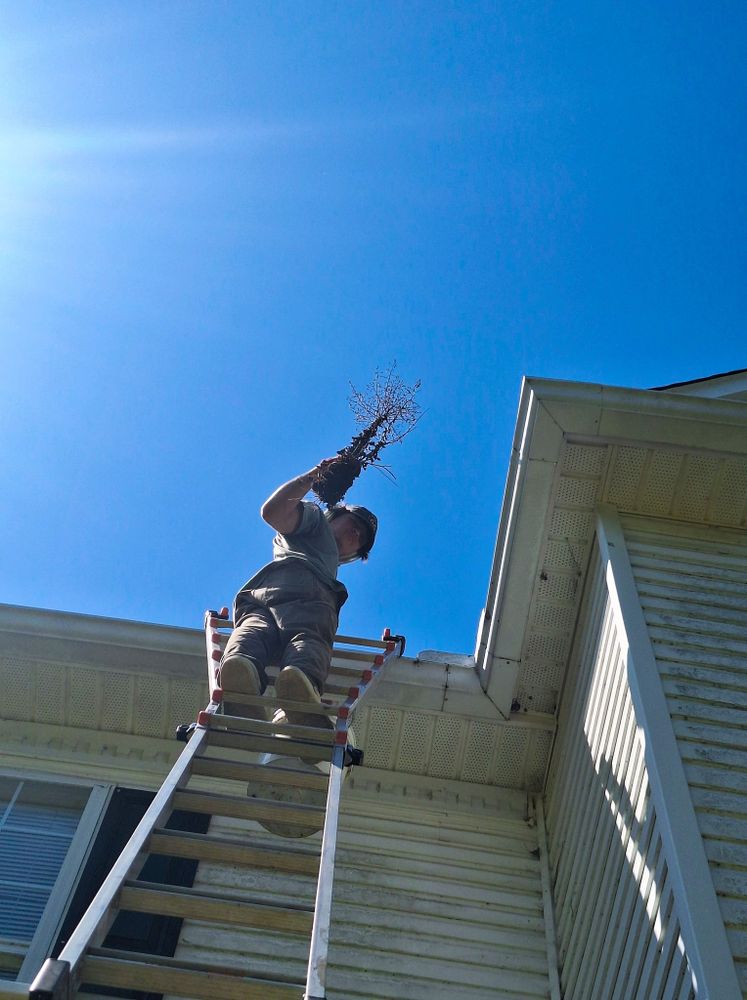 All Photos for Olmedo Home Services in Davie County, NC