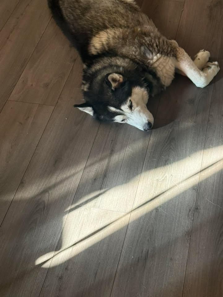 All Photos for Campbell Quality Construction in Apache Junction, AZ