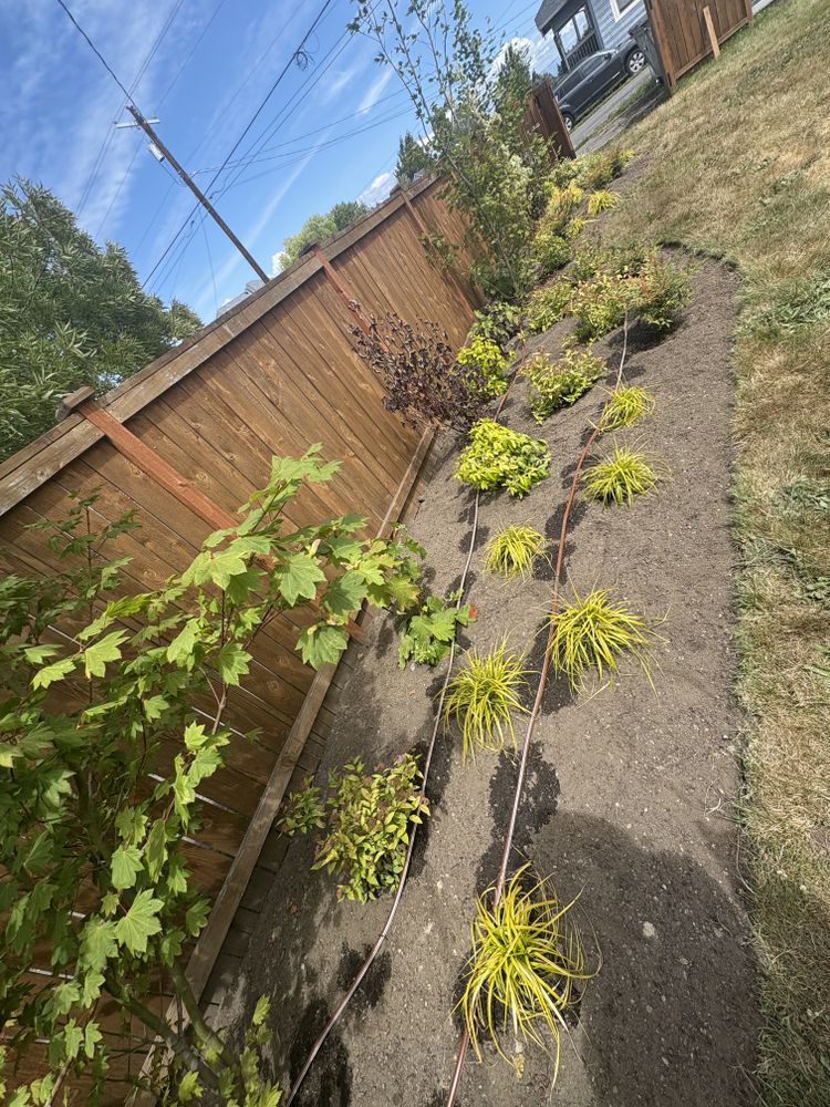 Fall Clean Up for Golovin Property Services LLC in Marysville, WA