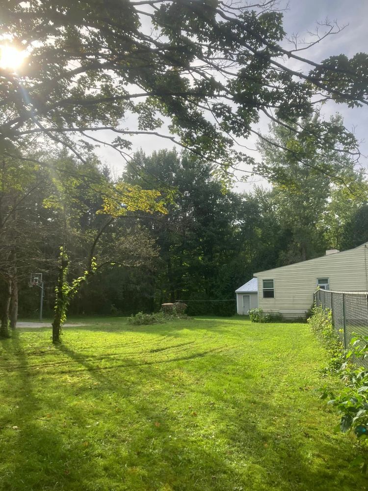 All Photos for Lovenguth Logging and Tree Service in West Monroe, NY