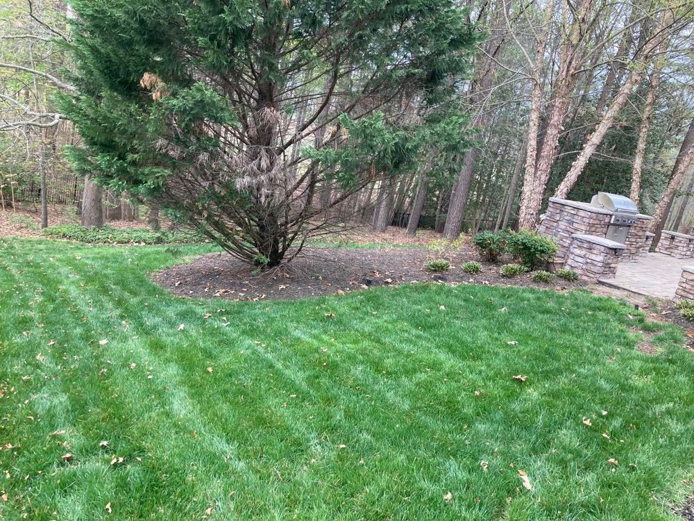 All Photos for Green Horizon Lawncare in North Chesterfield, VA