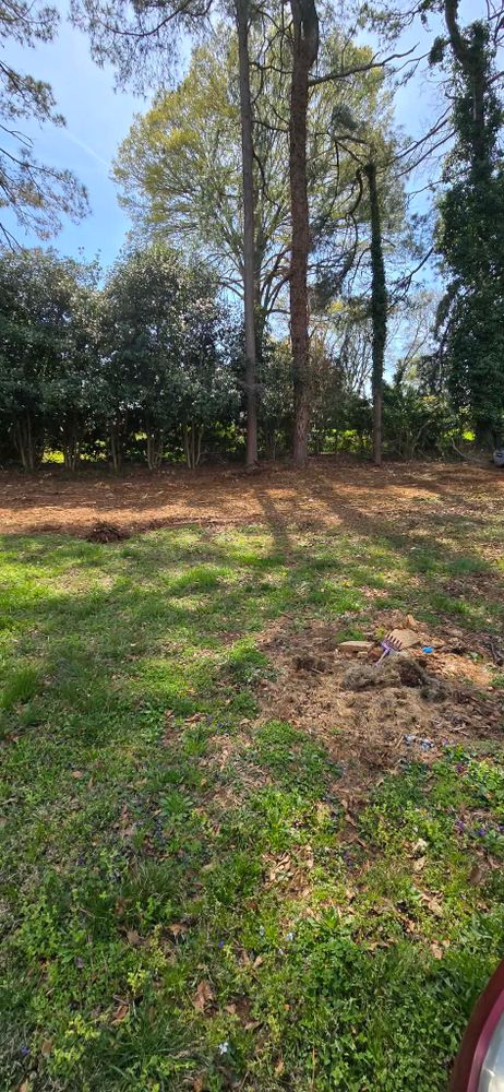 All Photos for Toney Site Services LLC in Rutherford County, NC