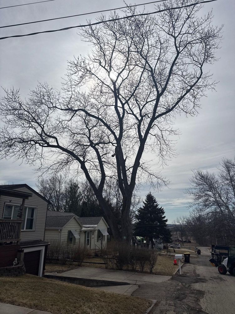 All Photos for Fransen's Tree Service  in Freeport, IL