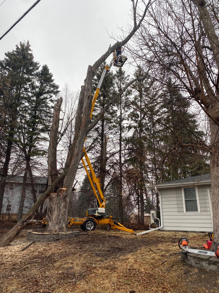 Our Tree Removal service safely and efficiently eliminates unwanted trees, enhancing your landscape’s beauty and safety. Trust our experts to handle everything from assessment to cleanup, ensuring a hassle-free experience. for Wurm Lawn and Landscape in Maple Lake, MN