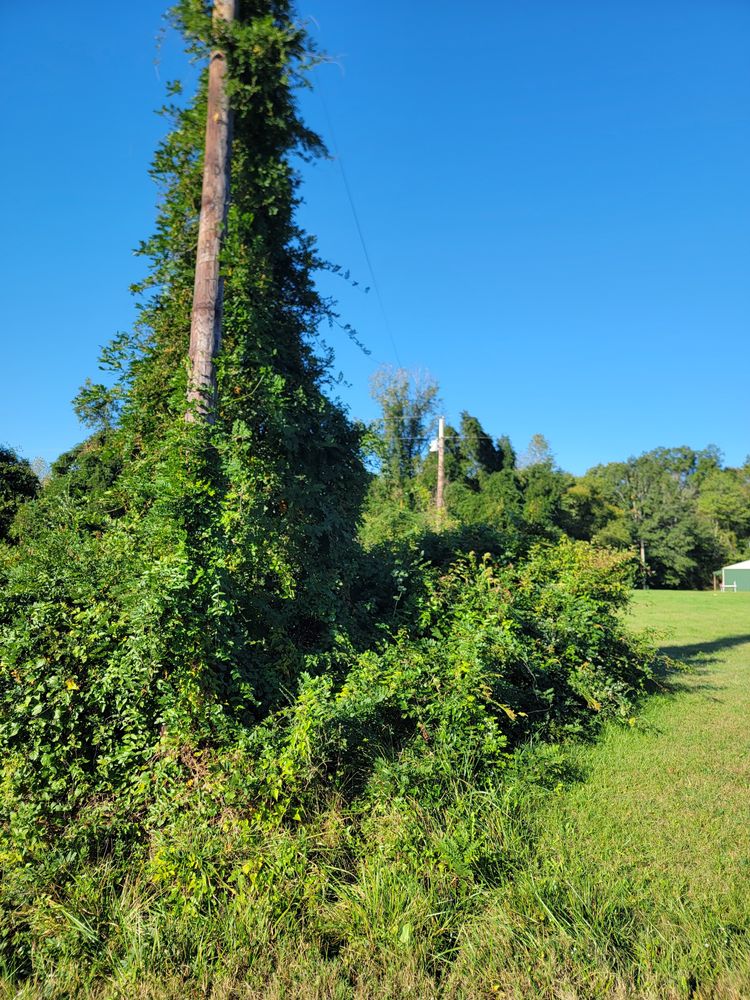 All Photos for Z's Land Management & Forestry Mulching in Smithville, TN