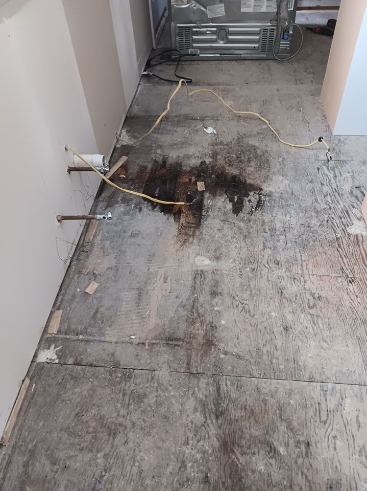 Subfloor repair and Beam Shoring for Dead Tree General Contracting in Carbondale, Illinois