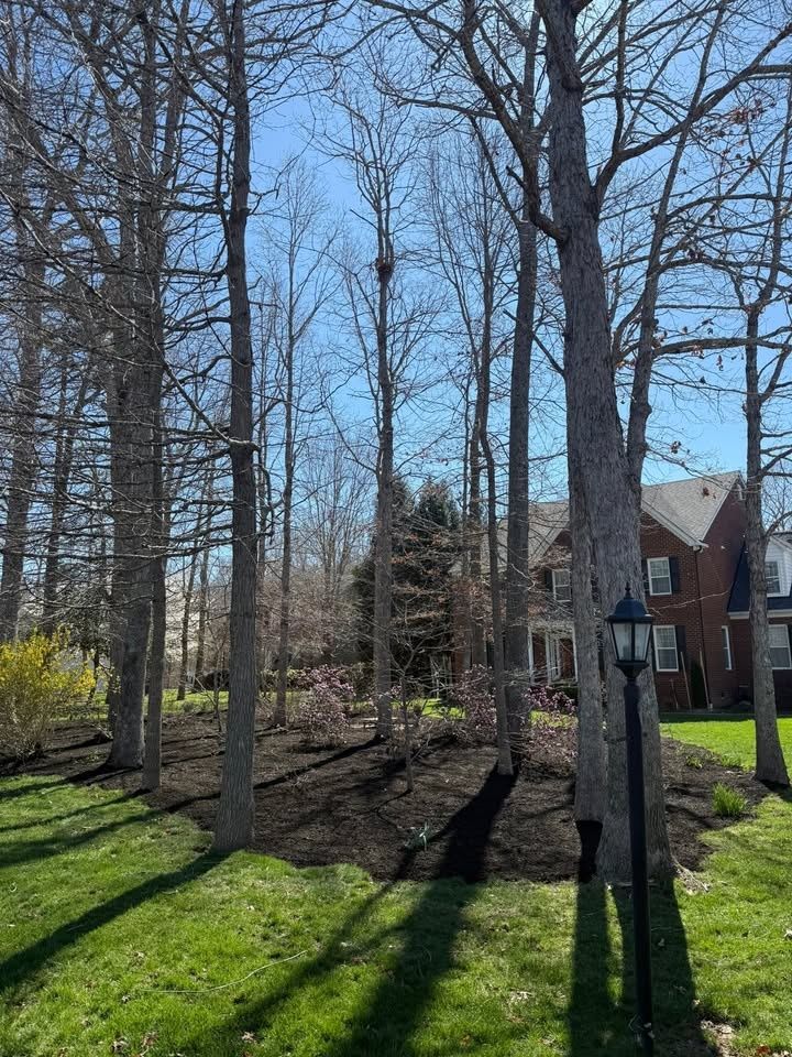 All Photos for C + C Landscaping in Chesterfield, VA