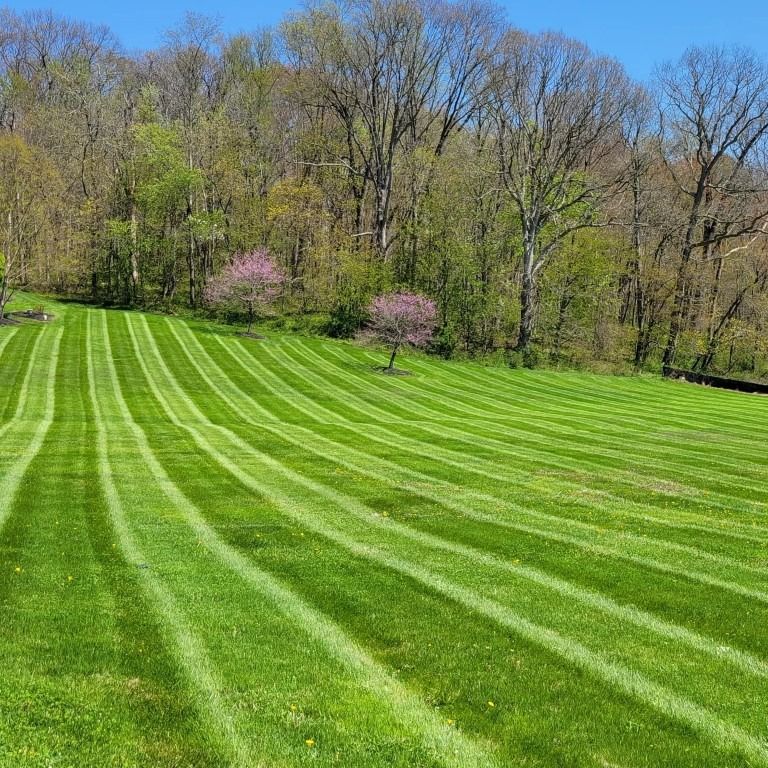 Landscaping for Garza Lawncare & Tree Service in Pearland, TX