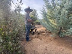 Property Clean Up for The Tree Fairy in Temecula, CA