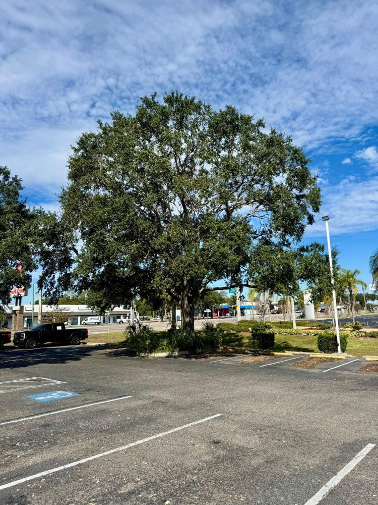 All Photos for Shoreside Property Services in Apollo Beach, FL