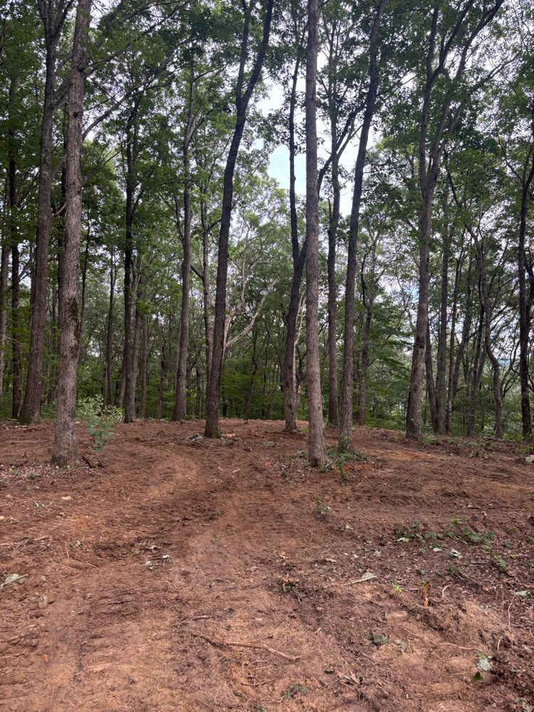 All Photos for TD Dirtworks in Tracy City, TN