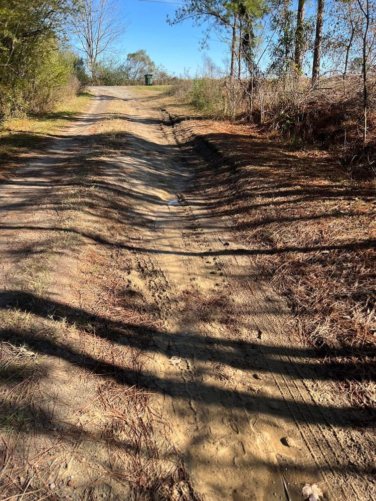 Tree Removal for Thompson Forestry Mulching & Stump Grinding in Douglas, GA