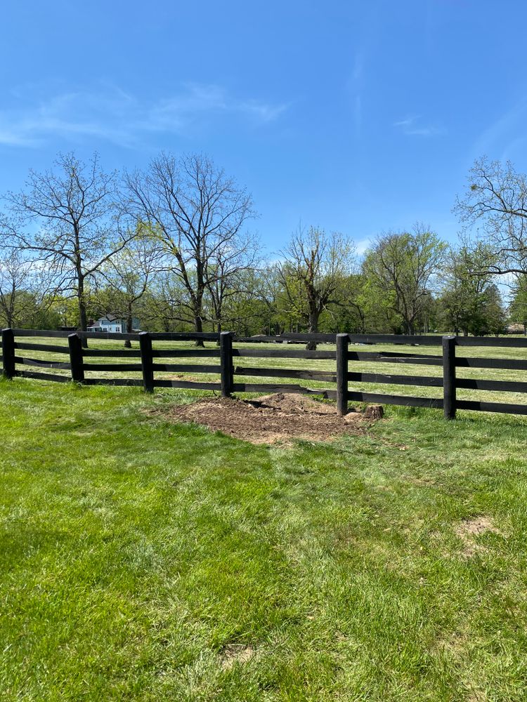Stump removal for Houtz Tree Service in Lexington, KY
