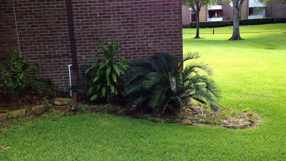 Lawn Care for Mitchell Maintenance in Dickinson, TX