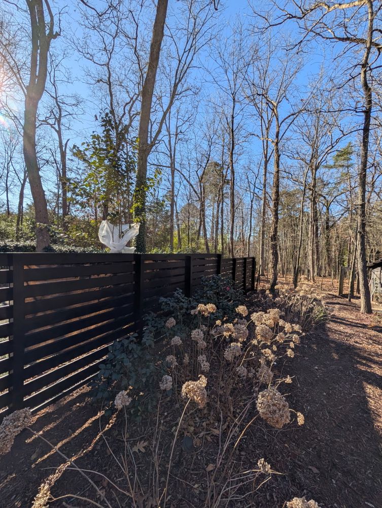 All Photos for Bambinos Painting in Durham, NC