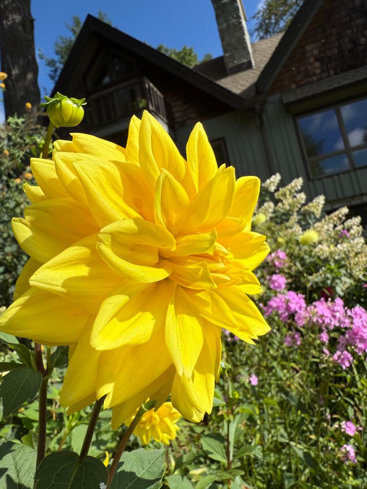 All Photos for Sustainable Property Services in Banner Elk, NC