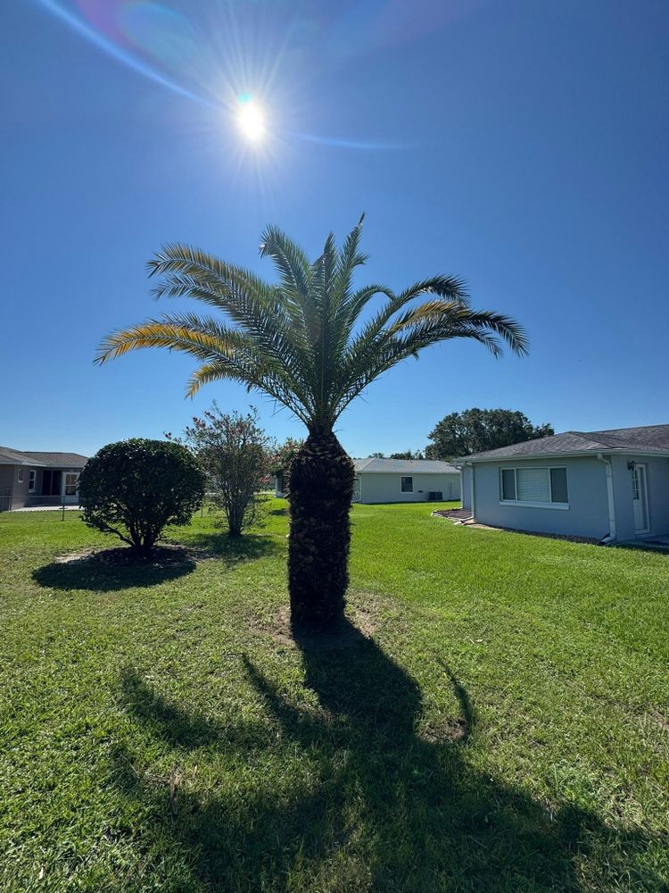 All Photos for Young's Lawn Services LLC in Ocala, FL