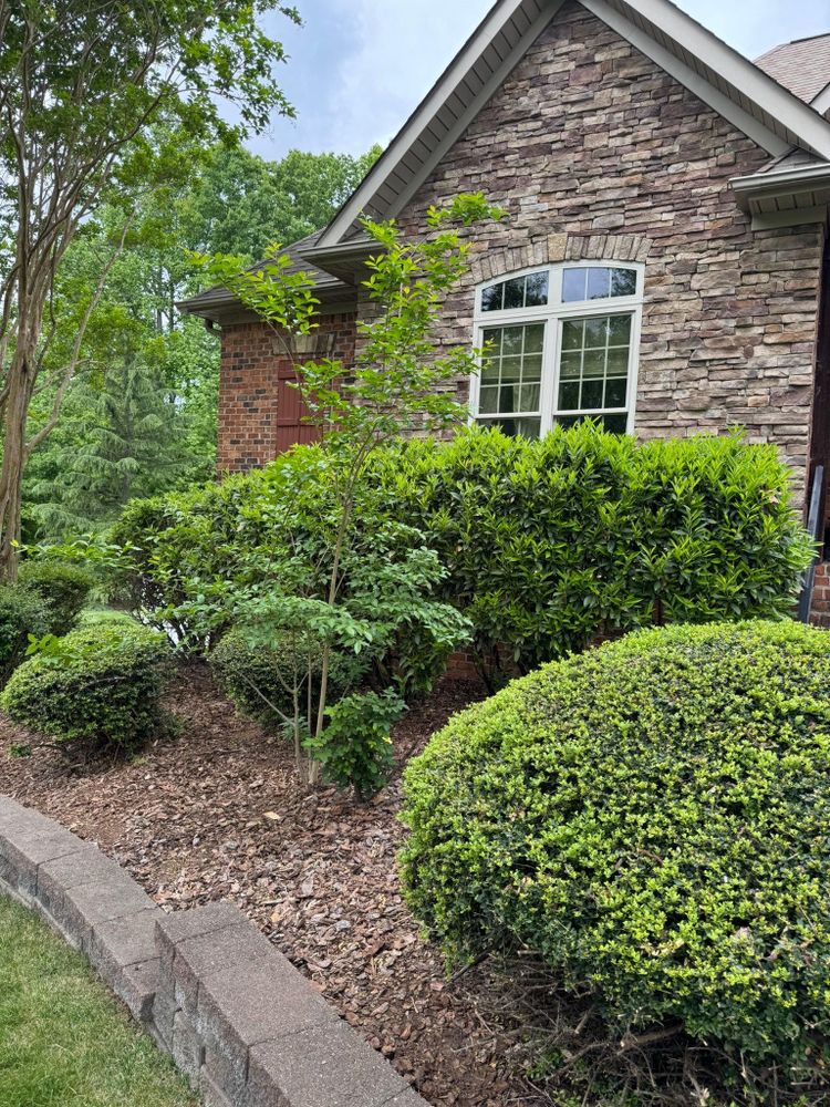 All Photos for Piedmont Lawn and Landscaping in Lexington, NC