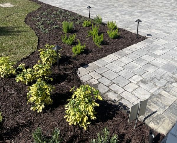 Sawgrass Revamp for Pro Designs Landscaping in Jacksonville, FL
