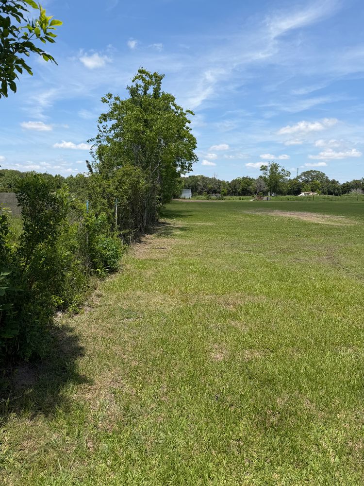 All Photos for CKD's Mulching Services in League City, TX