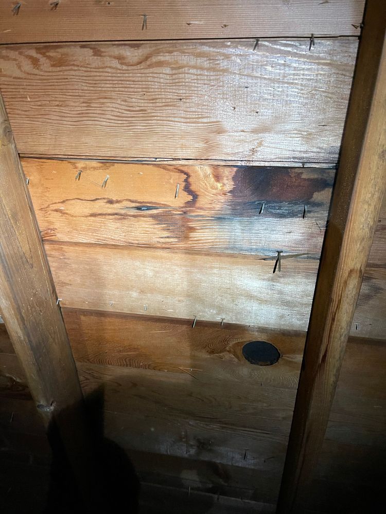 All Photos for Tony's Remodeling & Painting in Renton, WA