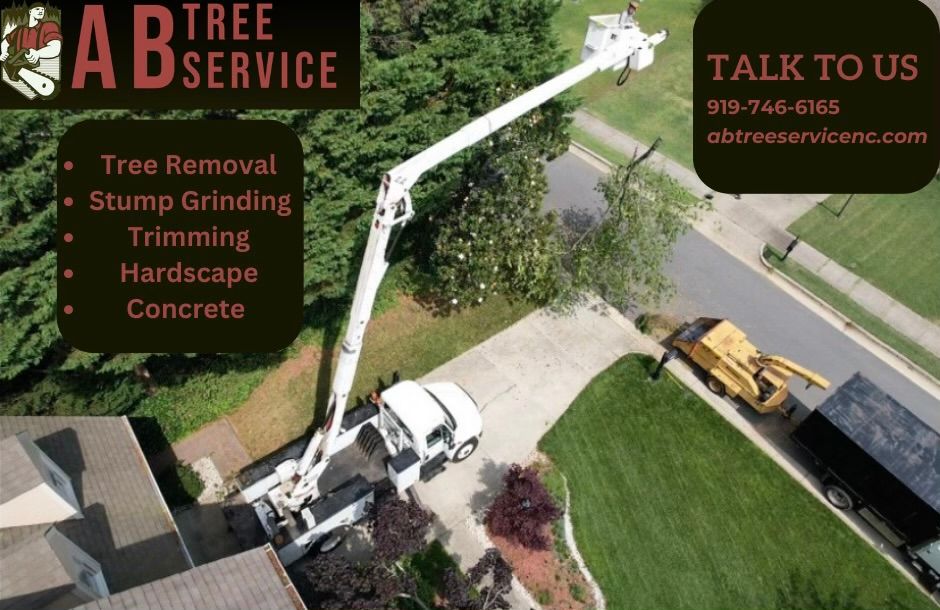 All Photos for AB Tree Service in Raleigh, NC