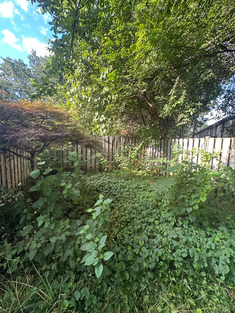 All Photos for Tactical Lawn Maintenance in  Murfreesboro ,  TN