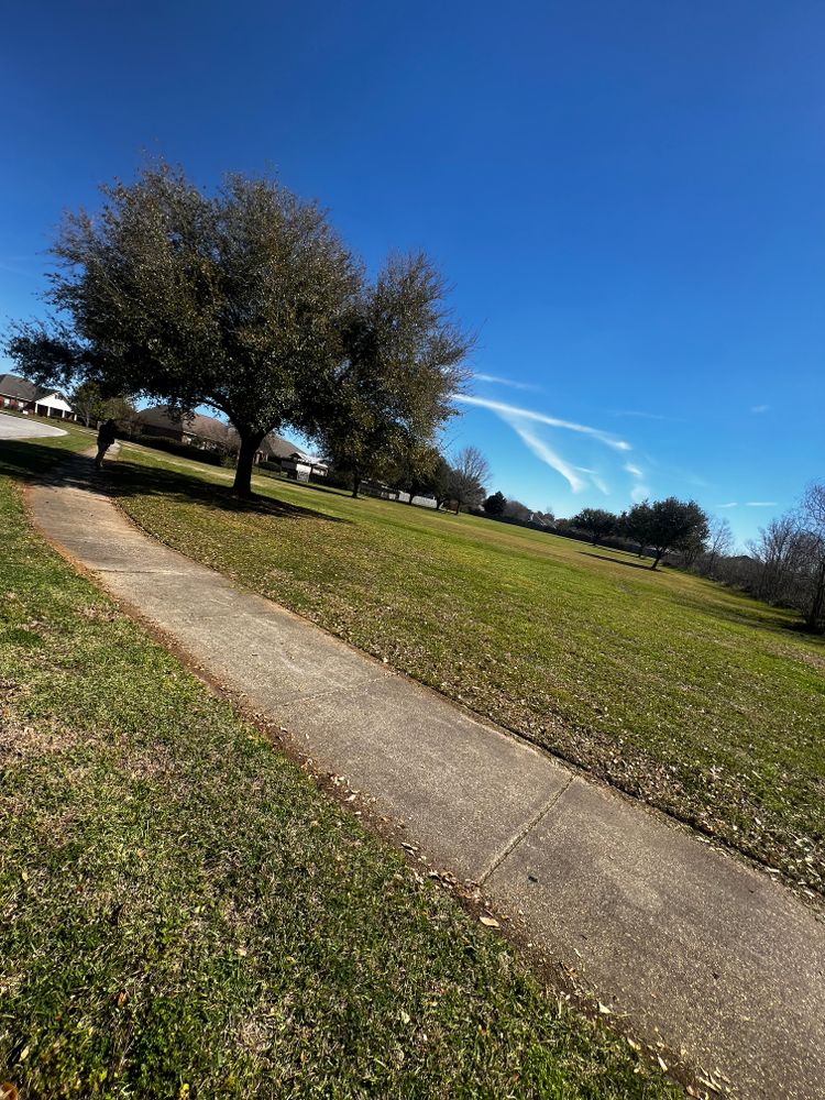 All Photos for Enhanced Landscape in Daphne, AL