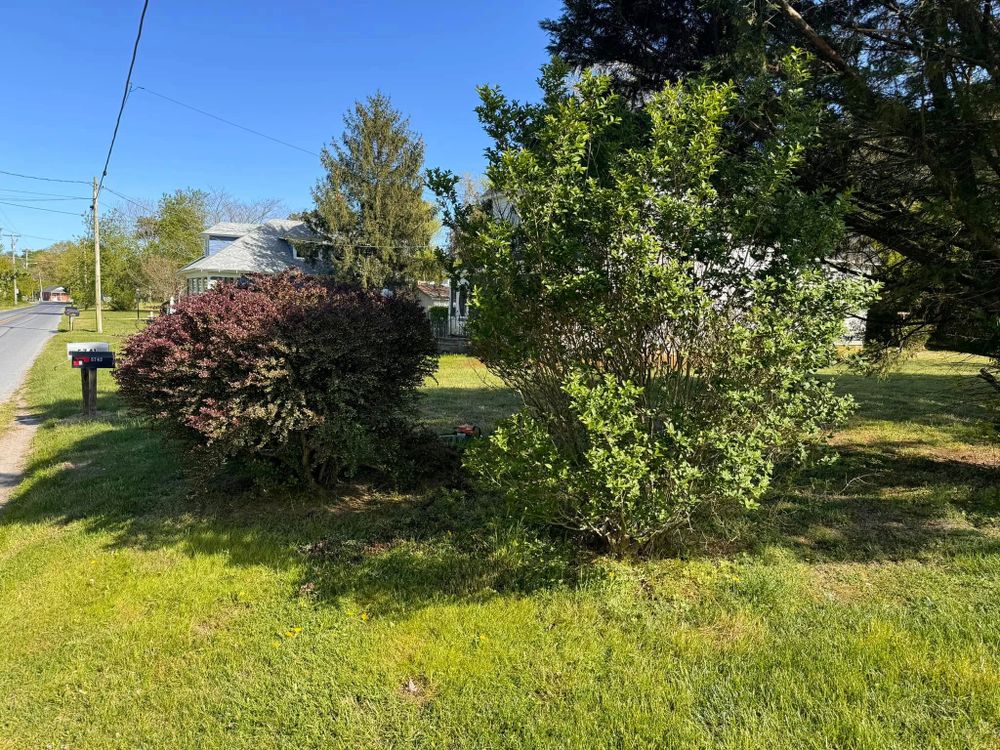 Hardscaping Landscaping for Bew’s Lawn Care in Girdletree, MD
