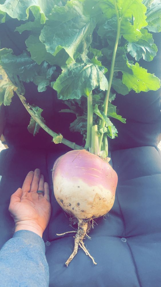 All Photos for Bluff Country Whitetails in Southern Indiana, IN