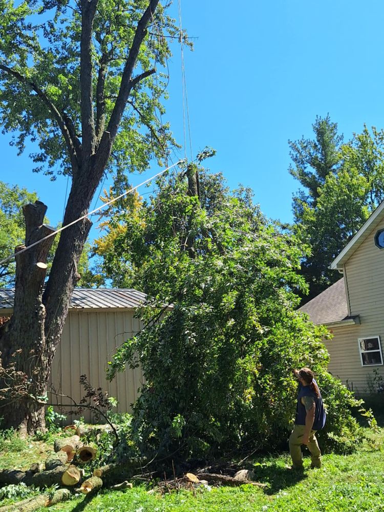 All Photos for Highborn Tree Service in Wheatfield, IN