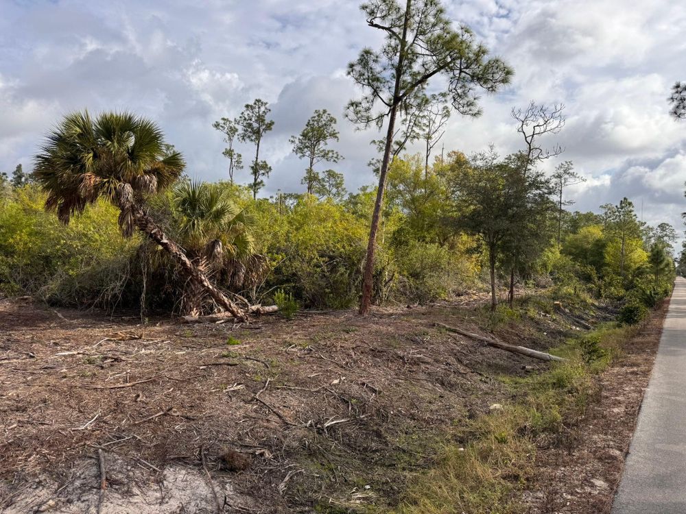 All Photos for McLeran in Naples, FL