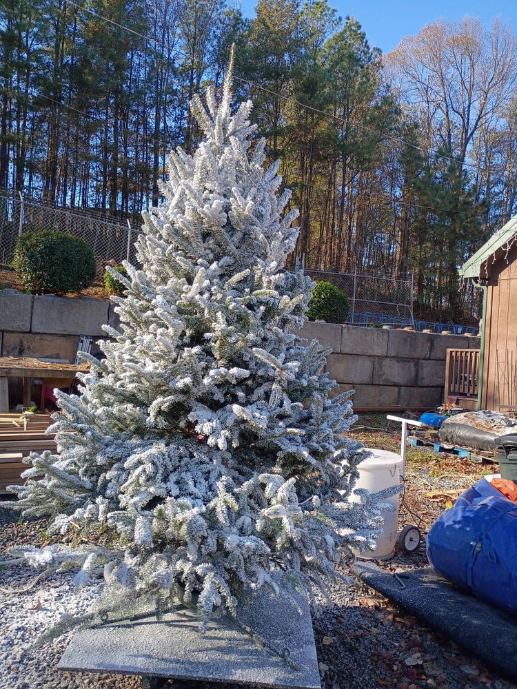 All Photos for BAM Another Pinestraw Lot in Flowery Branch, GA